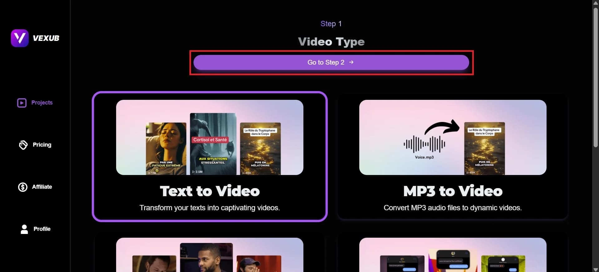 Options for choosing image style formats in Vexub's interface.