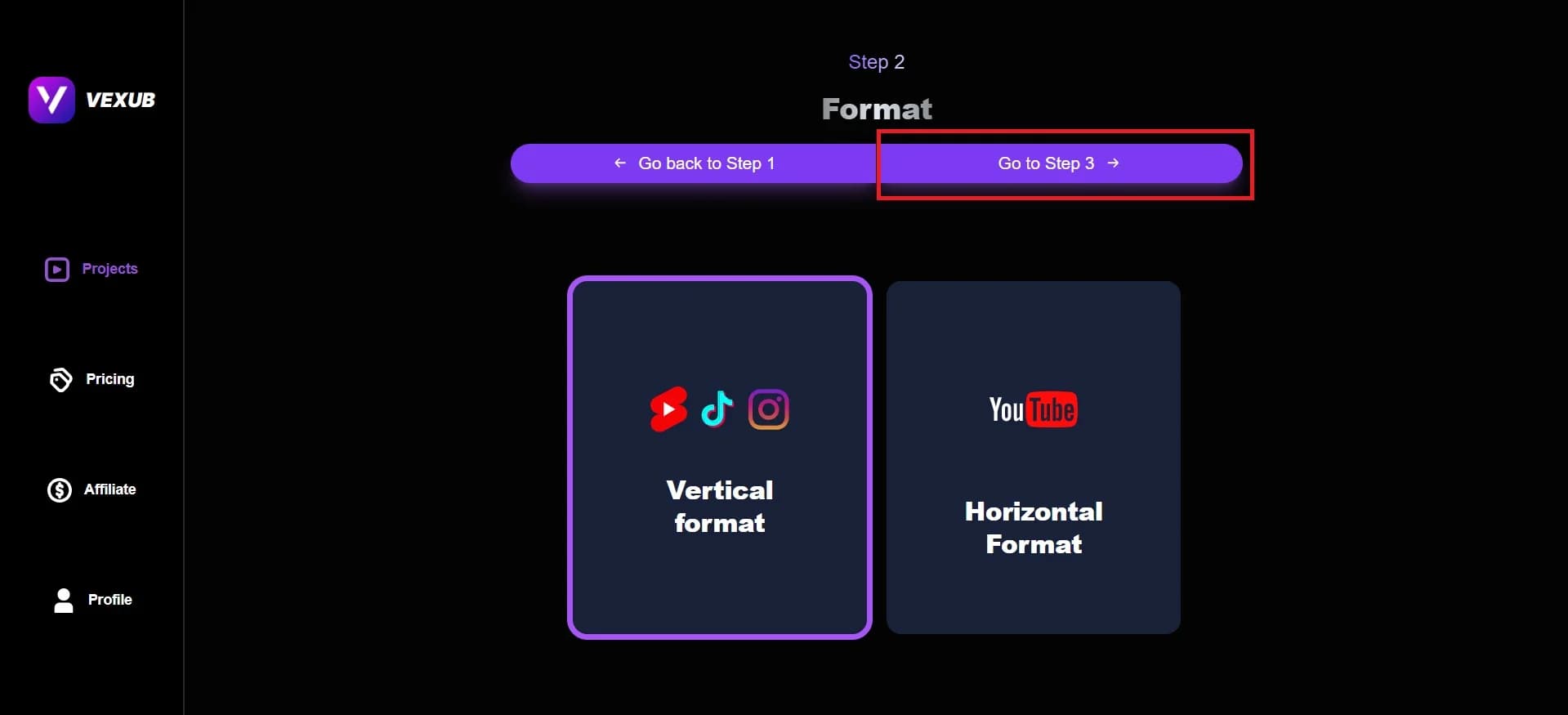 Selecting video format settings for custom image styles.