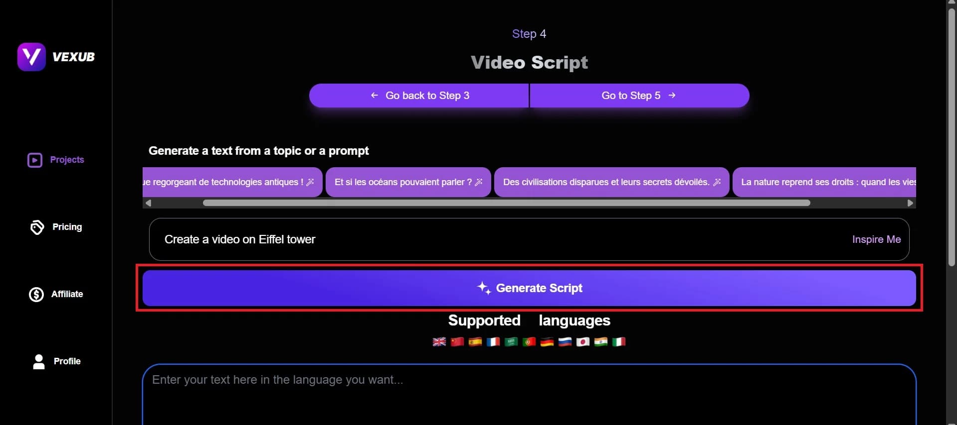 Input area for scripting or topic details for custom styles.