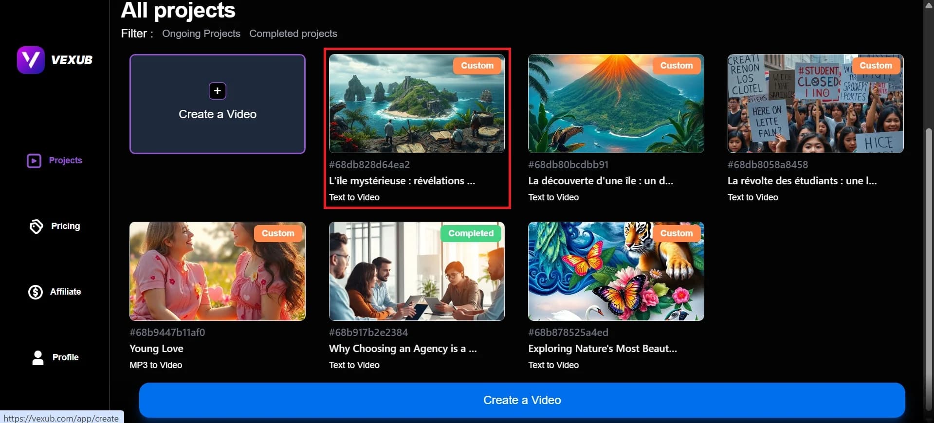 Continuation of steps to delete a project in Vexub