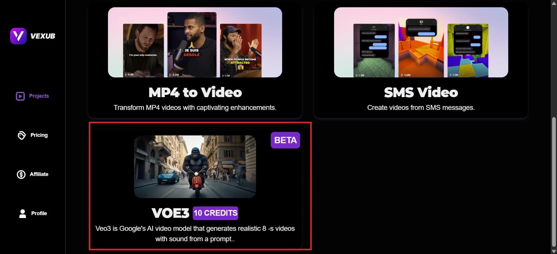 Creating a new project in Vexub's interface