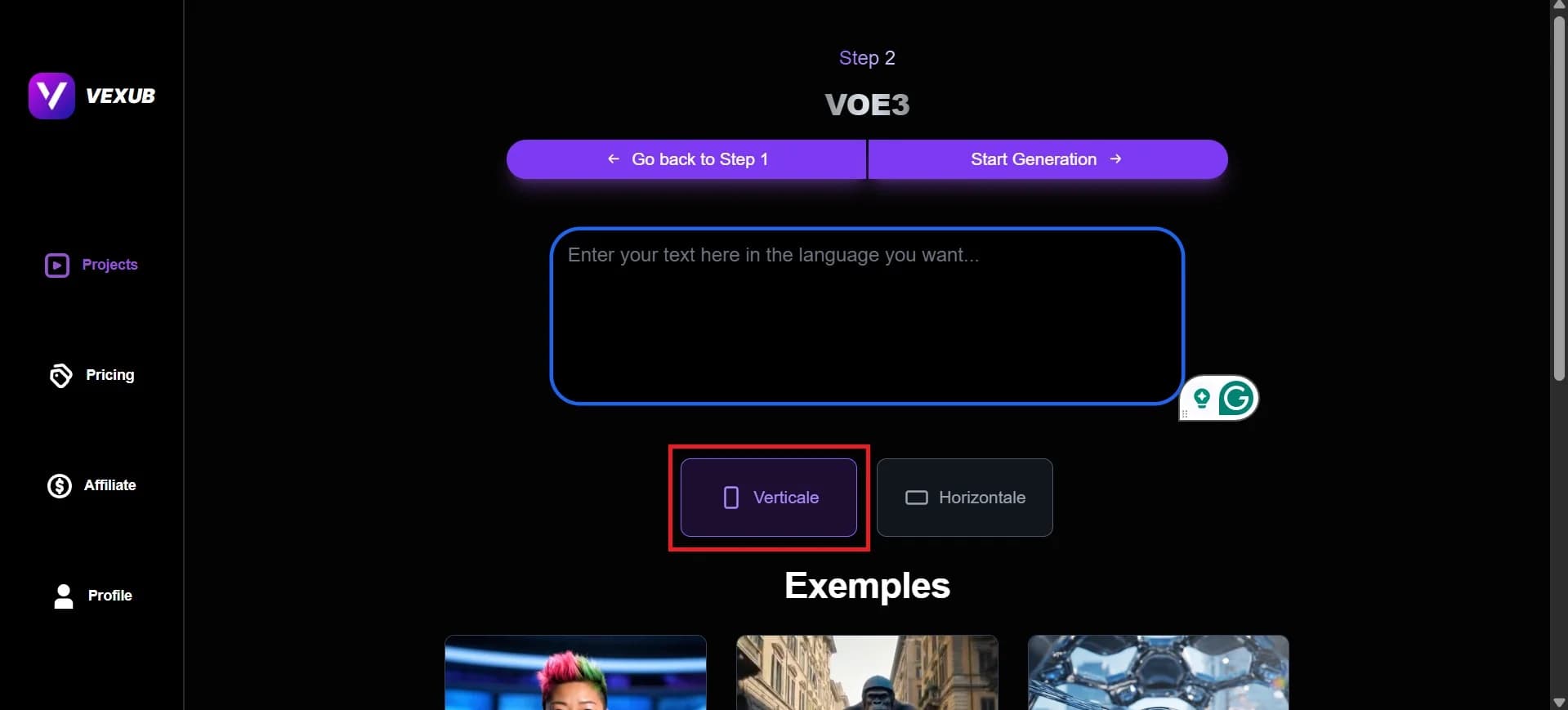 Configuring video content settings in Vexub's project interface