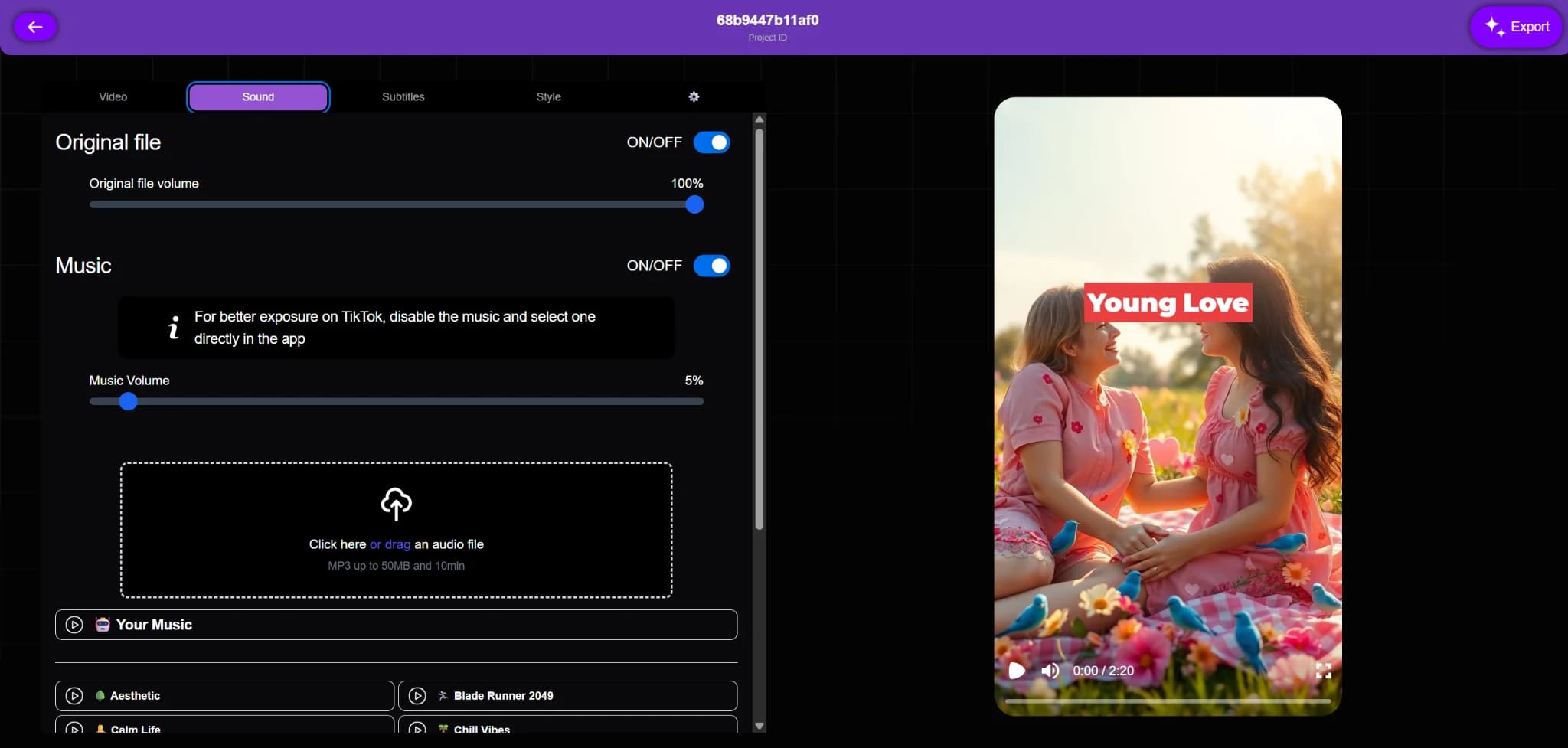 Navigating to the sound tab within Vexub's project interface