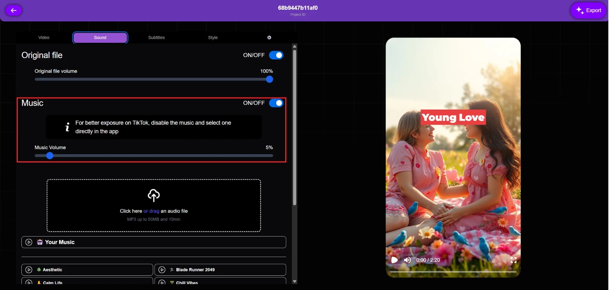 Controlling music settings for video projects in Vexub